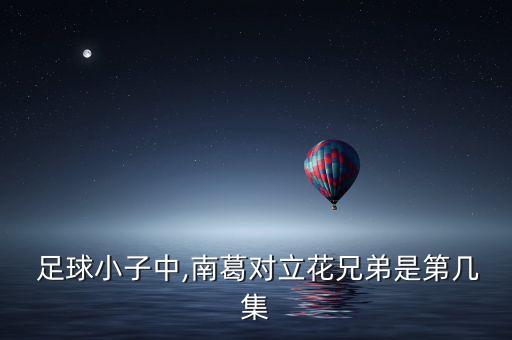  足球小子中,南葛對立花兄弟是第幾集