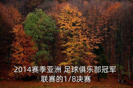 2014賽季亞洲 足球俱樂部冠軍 聯(lián)賽的1/8決賽