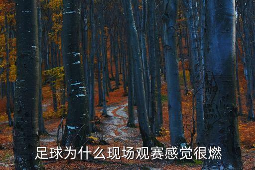  足球為什么現(xiàn)場觀賽感覺很燃