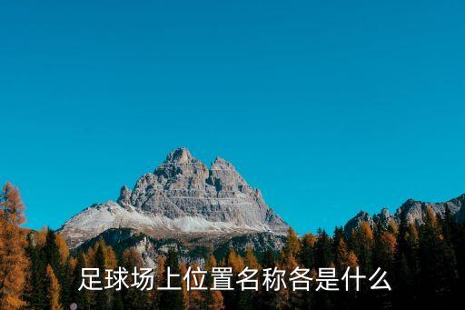 足球后衛(wèi)號碼,厲害的足球后衛(wèi)號碼
