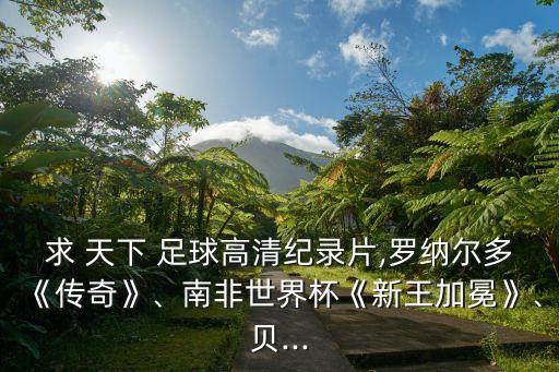 求 天下 足球高清紀(jì)錄片,羅納爾多《傳奇》、南非世界杯《新王加冕》、貝...