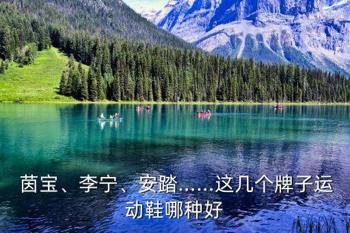  茵寶、李寧、安踏……這幾個牌子運動鞋哪種好