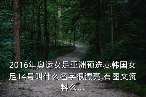 2016年奧運女足亞洲預選賽韓國女足14號叫什么名字很漂亮,有圖文資料么...
