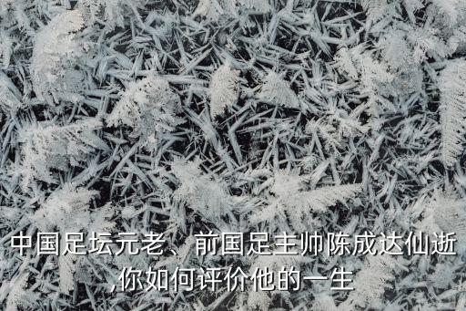 中國足壇元老、前國足主帥陳成達仙逝,你如何評價他的一生