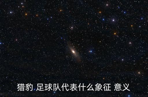 獵豹 足球隊(duì)代表什么象征 意義