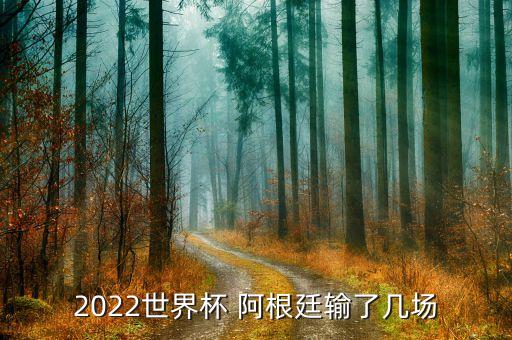 2022世界杯 阿根廷輸了幾場