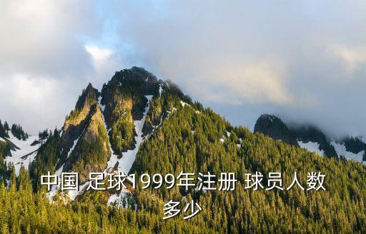 中國(guó)足球球員注冊(cè)