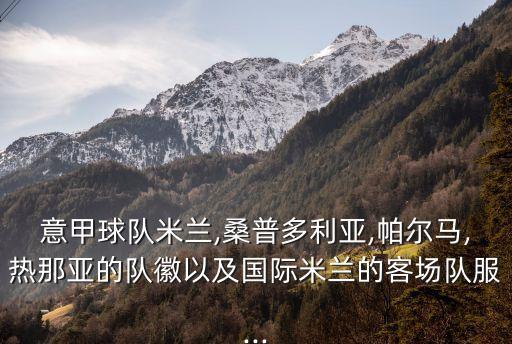 意甲球隊(duì)米蘭,桑普多利亞,帕爾馬,熱那亞的隊(duì)徽以及國際米蘭的客場隊(duì)服...