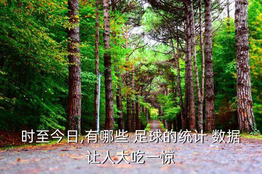 時(shí)至今日,有哪些 足球的統(tǒng)計(jì) 數(shù)據(jù)讓人大吃一驚