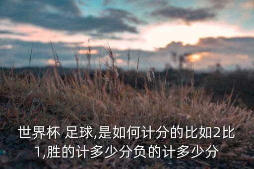世界杯 足球,是如何計分的比如2比1,勝的計多少分負的計多少分