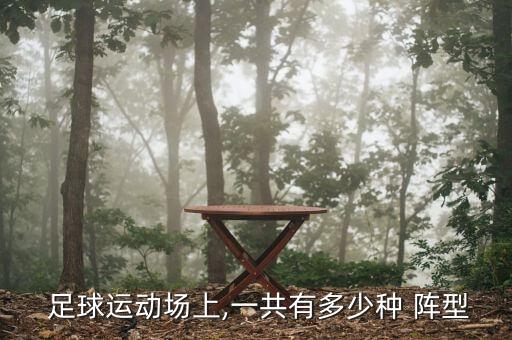 足球運(yùn)動(dòng)場(chǎng)上,一共有多少種 陣型