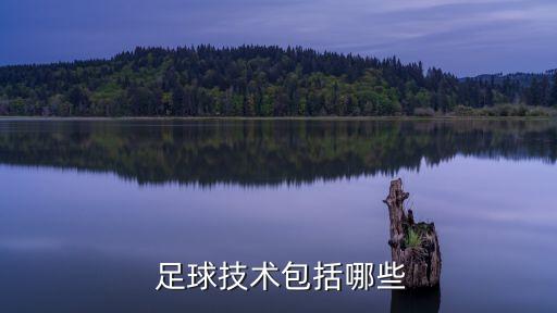 足球支撐名詞解釋,足球合理沖撞名詞解釋
