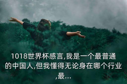 1018世界杯感言,我是一個(gè)最普通的中國(guó)人,但我懂得無論身在哪個(gè)行業(yè),最...