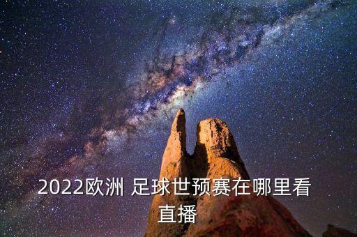 俄羅斯足球世界杯直播視頻回放,足球世界杯2022視頻回放