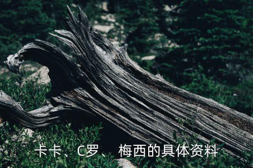卡卡、C羅、 梅西的具體資料
