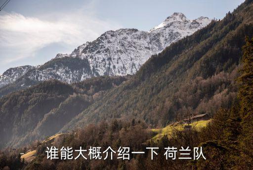 2016荷蘭足球隊(duì)名單,荷蘭國(guó)家足球隊(duì)最新名單