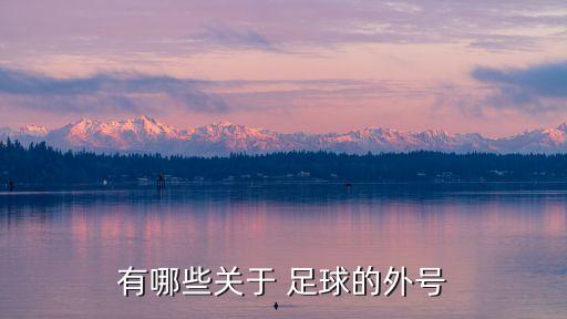 足球國家隊(duì)綽號,足球丁丁是誰的綽號