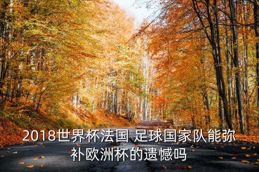 2018世界杯法國(guó) 足球國(guó)家隊(duì)能彌補(bǔ)歐洲杯的遺憾嗎