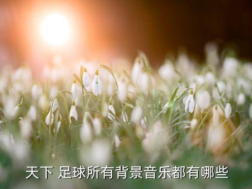  天下 足球所有背景音樂(lè)都有哪些