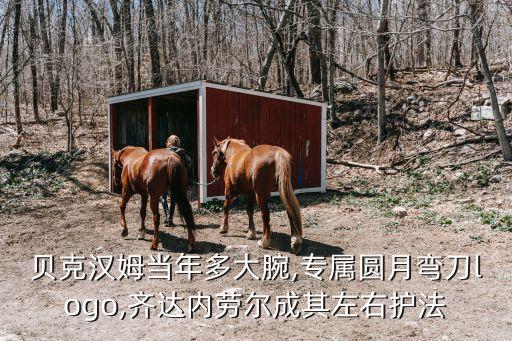 貝克漢姆當(dāng)年多大腕,專屬圓月彎刀logo,齊達內(nèi)勞爾成其左右護法