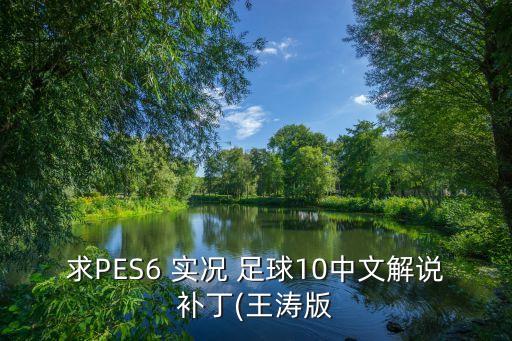 求PES6 實(shí)況 足球10中文解說(shuō)補(bǔ)丁(王濤版