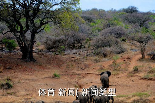 足球俱樂(lè)部新聞媒體