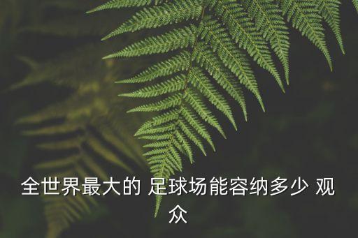 全世界最大的 足球場(chǎng)能容納多少 觀眾