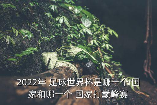 2022年 足球世界杯是哪一個(gè) 國家和哪一個(gè) 國家打巔峰賽