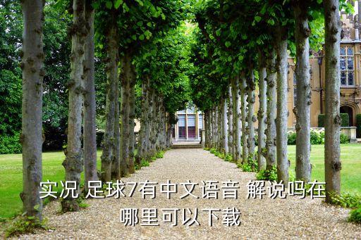  實(shí)況 足球7有中文語(yǔ)音 解說(shuō)嗎在哪里可以下載