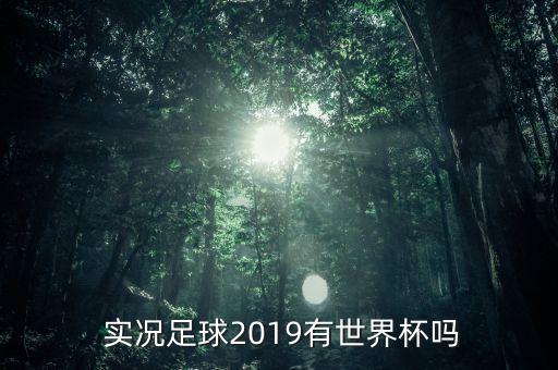  實(shí)況足球2019有世界杯嗎