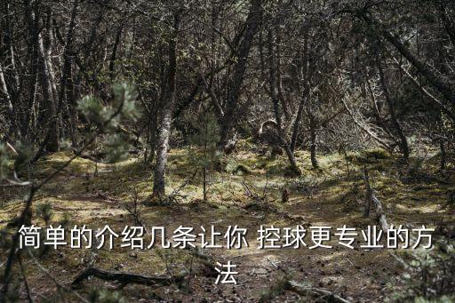 簡單的介紹幾條讓你 控球更專業(yè)的方法