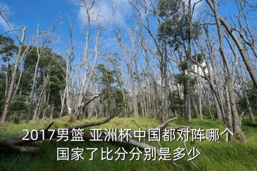 2017男籃 亞洲杯中國(guó)都對(duì)陣哪個(gè)國(guó)家了比分分別是多少