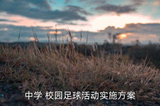 中學 校園足球活動實施方案