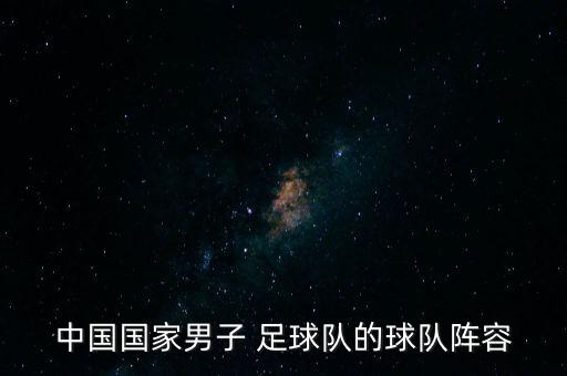 中國國家男子 足球隊的球隊陣容