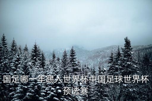 國足哪一年踢入世界杯中國足球世界杯預(yù)選賽
