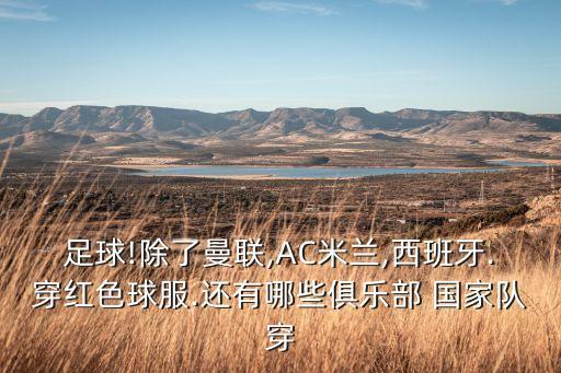 各國國家隊(duì)足球隊(duì)服,意大利足球國家隊(duì)隊(duì)服