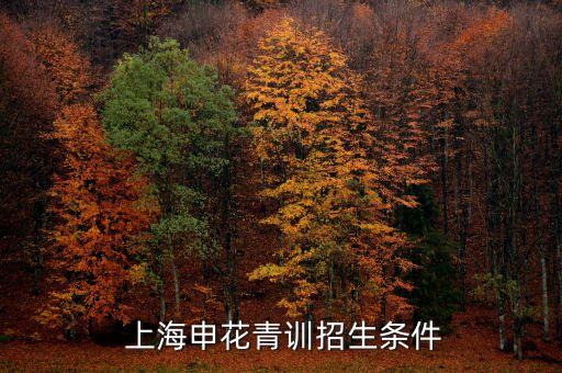  上海申花青訓(xùn)招生條件