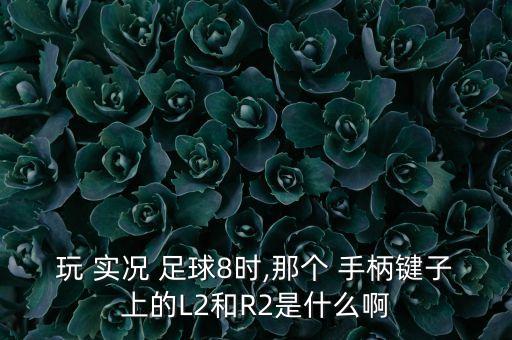 玩 實況 足球8時,那個 手柄鍵子上的L2和R2是什么啊