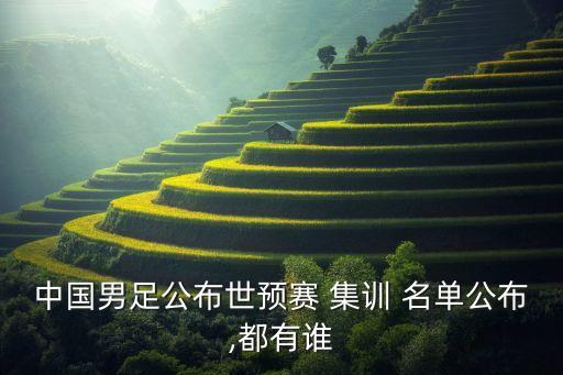 中國男足公布世預賽 集訓 名單公布,都有誰