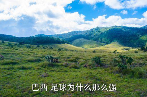  巴西 足球?yàn)槭裁茨敲磸?qiáng)