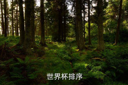  世界杯排序