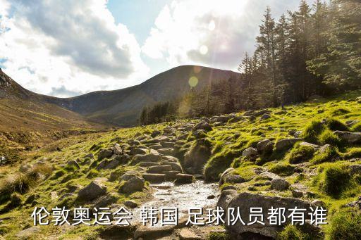 倫敦奧運(yùn)會(huì) 韓國(guó) 足球隊(duì)員都有誰