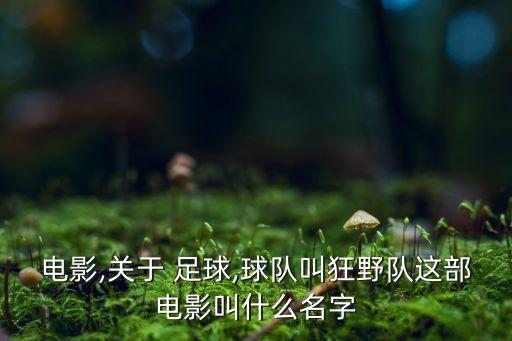 瘋狂足球價格,瘋狂的足球2020