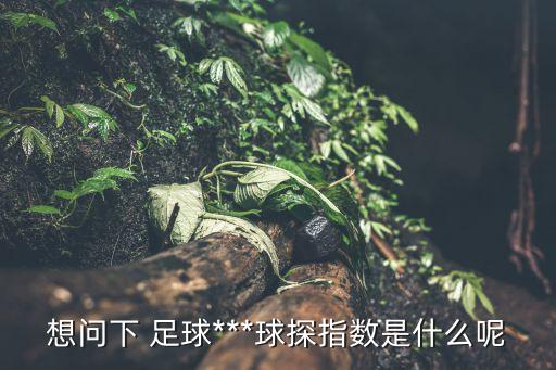 想問下 足球***球探指數是什么呢