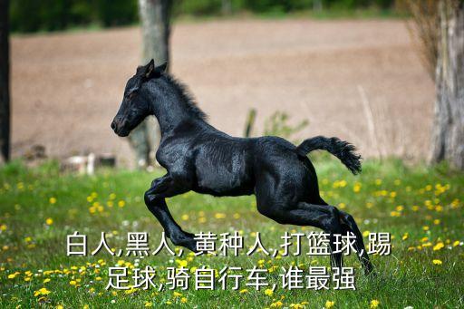 白人,黑人, 黃種人,打籃球,踢 足球,騎自行車,誰最強(qiáng)