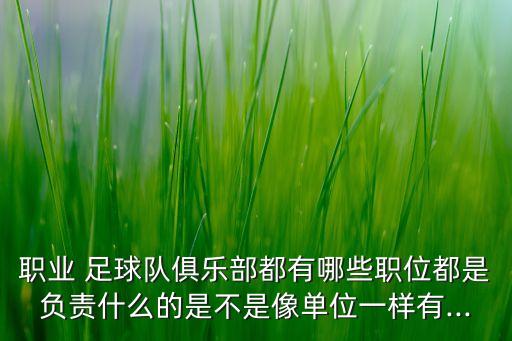 職業(yè) 足球隊(duì)俱樂部都有哪些職位都是負(fù)責(zé)什么的是不是像單位一樣有...