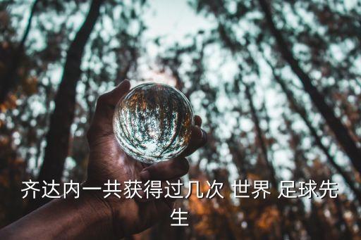 齊達(dá)內(nèi)一共獲得過(guò)幾次 世界 足球先生