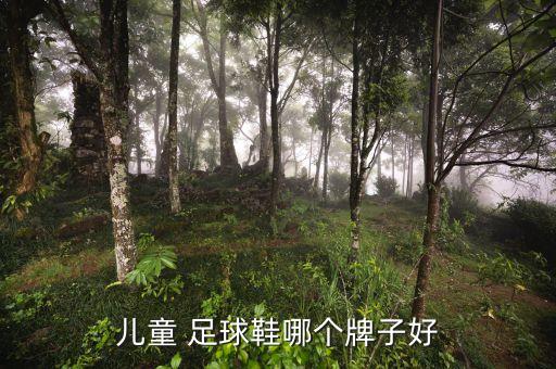 兒童 足球鞋哪個(gè)牌子好