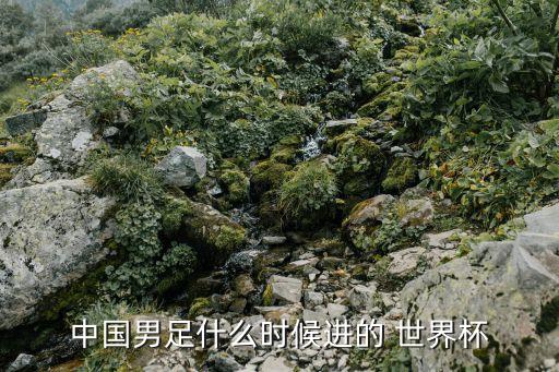 中國男足什么時候進的 世界杯