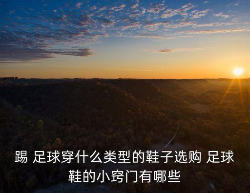 踢 足球穿什么類型的鞋子選購(gòu) 足球鞋的小竅門(mén)有哪些